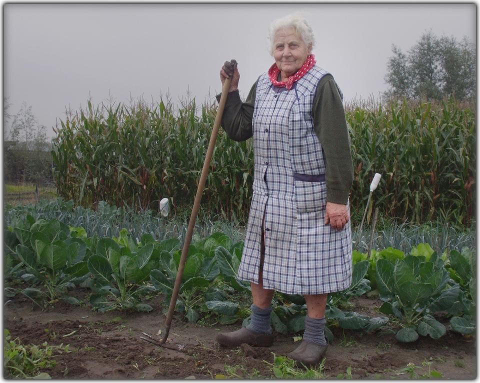 Vrouw aan het werk in de moestuin.